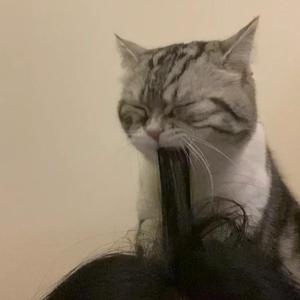 精产国品一二三产区99771
