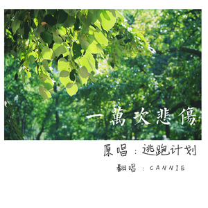 美女诱惑动态诱惑动态诱惑动态视频
